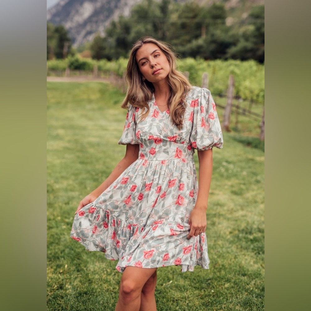 Jessakae Painted Rose Dress-Size XS